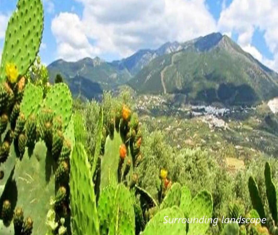 Trapiche Hacienda Sol Trapiche别墅 外观 照片