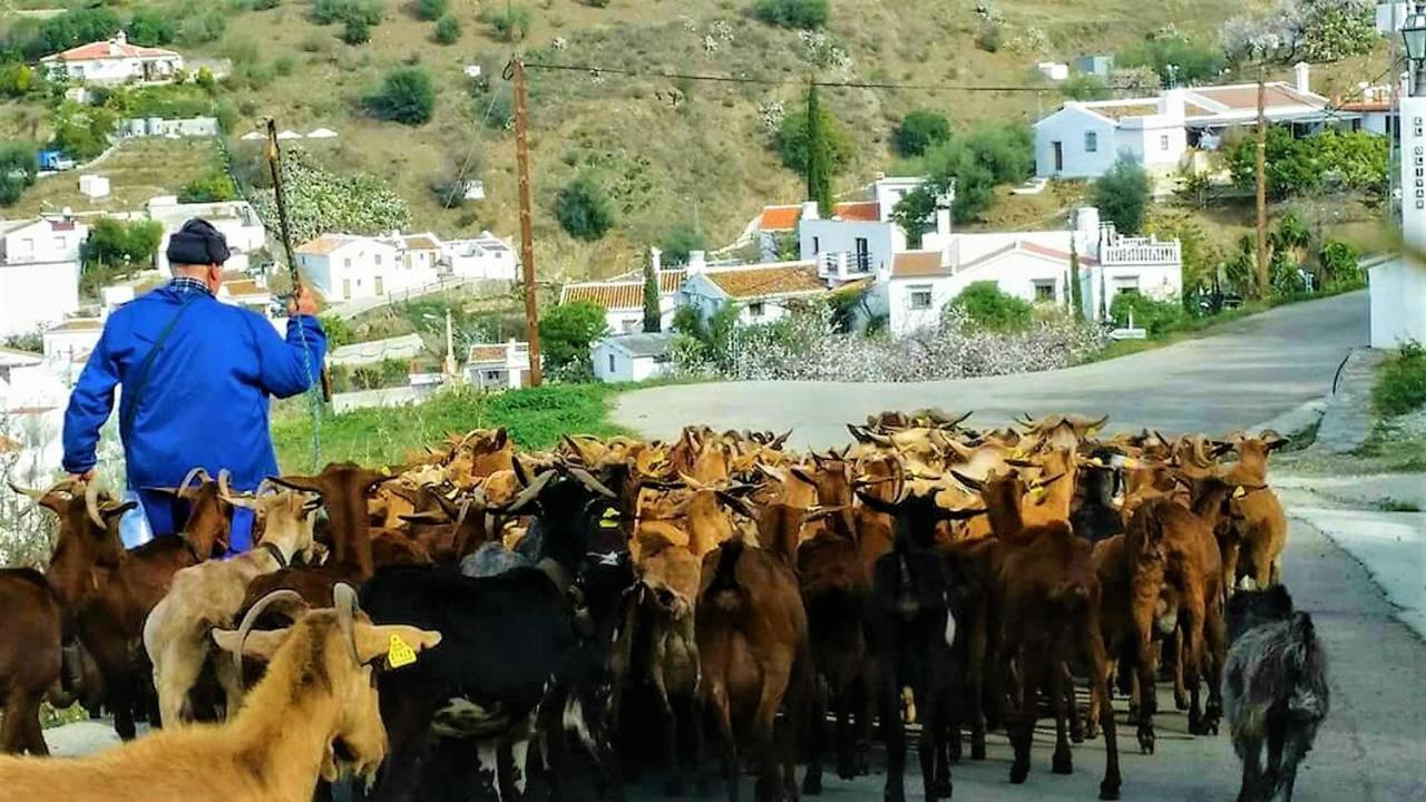Trapiche Hacienda Sol Trapiche别墅 外观 照片